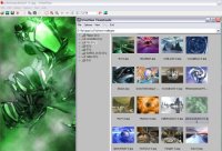 Irfanview, para orgnizar as imagens do seu computador